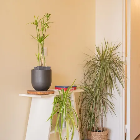 Le Contemporain ~ T4 Spacieux ~ Rer A & Apartment